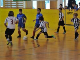 mini-DSC_6781